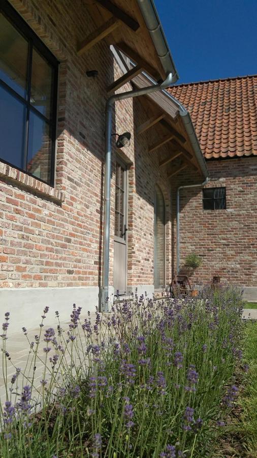 Villa Muntershof Velzeke-Ruddershove Esterno foto