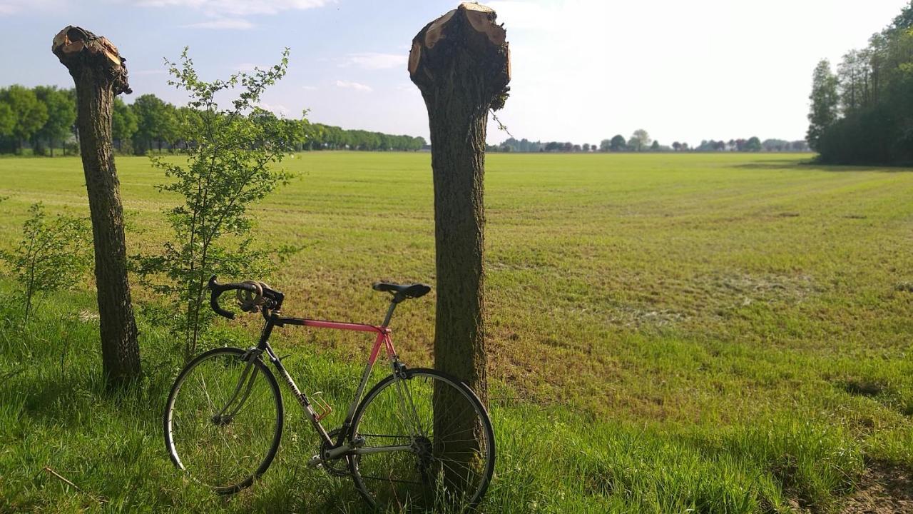 Villa Muntershof Velzeke-Ruddershove Esterno foto